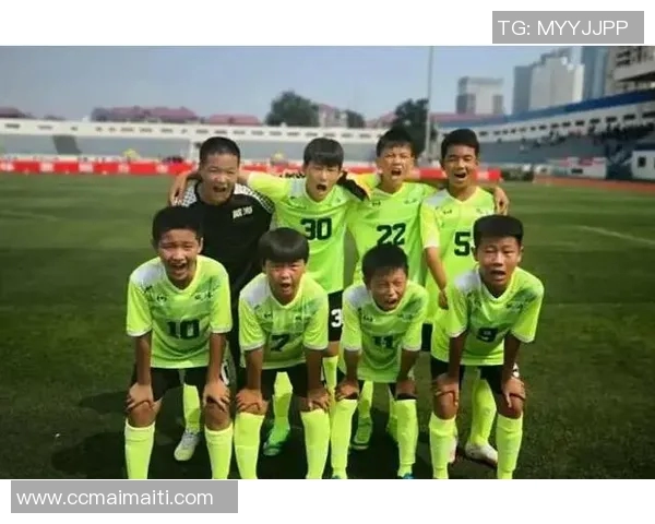 成都足球队荣登全国足球速度排行榜第五名引发热议