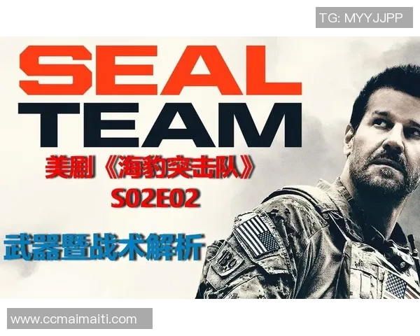 武汉网球队在钻石联赛中的战术表现分析与启示