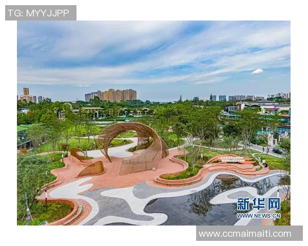 成都排球队的转型之路与未来发展趋势深度解析 成都排球队的转型之路与未来发展趋势深度解析