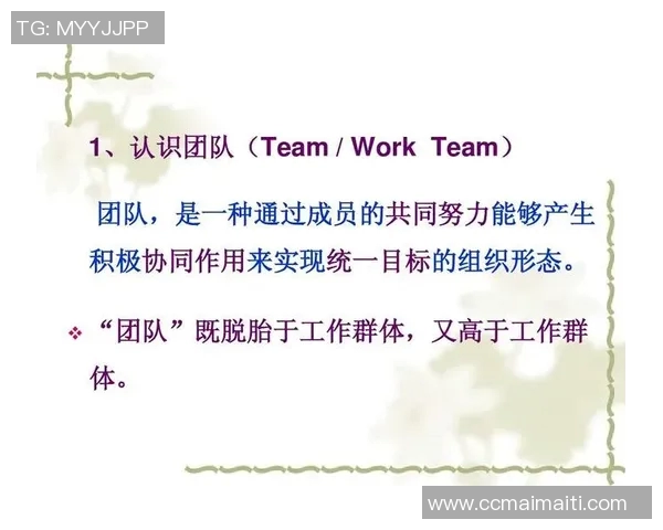 深圳羽毛球队团队协作表现的深度数据分析与启示