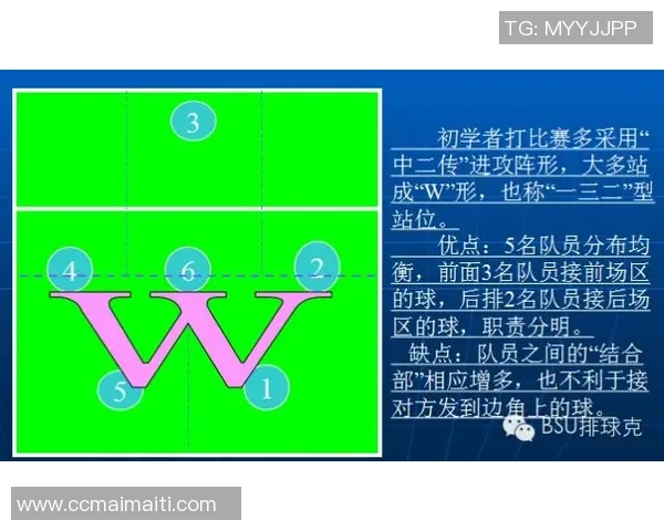 广州排球队的战术解析与技术控制深度剖析 广州排球队的战术解析与技术控制深度剖析