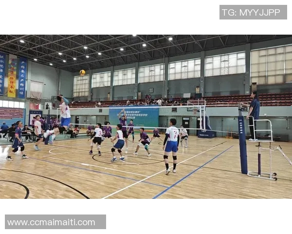 排球耐力排行榜揭晓北京排球队荣获第八名成就斐然