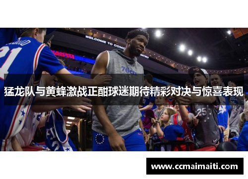 猛龙队与黄蜂激战正酣球迷期待精彩对决与惊喜表现